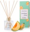 100ml Scent Diffuser with 6 Fiber Sticks,Cantaloupe Reed Diffuser Set Aromatherapy Fragrance Diffusers Air Fresheners for Home Bedroom Bathroom