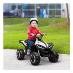 12V Electric Quad Bikes for Kids