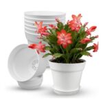 15cm/6-in Plant Pots Indoor 8 Pack Plastic Flower Pots with Drainage Holes