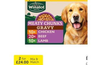 2 X WINALOT Meaty Chunks Mixed in Gravy Wet Dog Food 40x100g