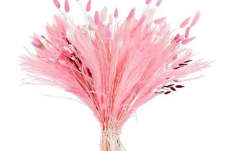 99 Pcs Dried Boho Floral Set with Pampas Grass