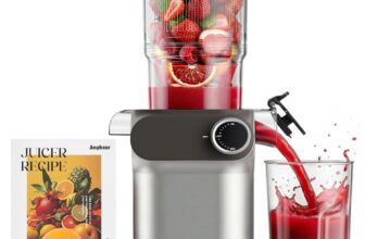 Anybear Cold Press Juicer, 200W Masticating Slow Juicer 4.3 Large Feed Chute Fit Whole Fruits Vegetables Upgraded Auger Tritan Materials BPA Free Juice Recipes (Silver Orange)