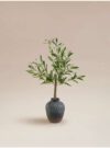 Artificial Olive Plant In Black Pot – Free C&C