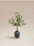 Artificial Olive Plant In Black Pot – Free C&C