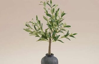 Artificial Olive Plant In Black Pot – Free C&C