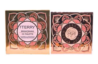 BY TERRY Brightening CC Palette Blush Shade 1. Sunny Flash
