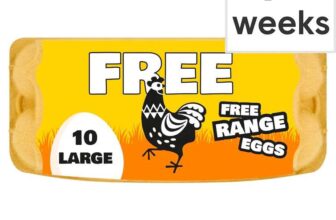 Big & Free Large White Free Range Eggs 10 Pack – clubcard