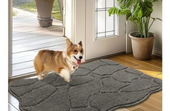 Biscpro Indoor Doormat 50×80 Cm, Non-Slip, Washable