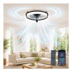 Black 50cm Ceiling Fan with Light, Remote, 6 Speeds, Dimmable