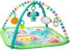 Bright Starts Wild Wiggles Baby Activity Gym & Play Mat with Taggies, Newborn and up – Green, 18.5×29.1×29.1 Inch