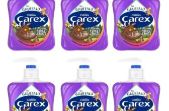 Carex Gruffalo Deep Dark Forest Fruits Antibacterial Hand Wash 6x250ml S&S £5.70