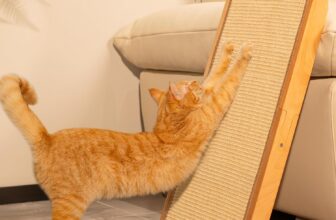 CheerPals Dual-Use Sisal Cat Scratcher – Large 63cm H, Solid Beech Wood & Sisal Pad Cat Scratching Post, L-Shaped Pet Furniture for All Cats Playing, Relaxing