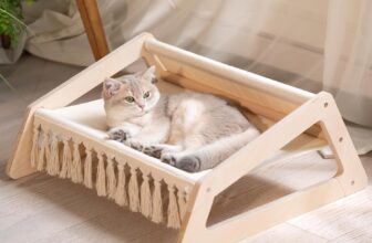 CheerPals Elevated Flower Cat Bed, 55cm L&W Large Cat Sofa, Stylish Cats Chair with Highly Elastic Soft Cushion, Furniture for Sleeping for All Cats