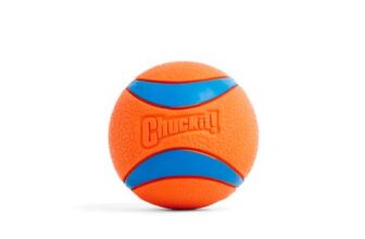 Chuckit Ultra Ball Durable High-Bounce Dog Toy, Launcher Compatible