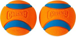 Chuckit Ultra Ball Durable High Bounce Rubber Dog Toy for Fetch and Playtime, Compatible with Launcher, Large, 7. 3cm (Pack of 2) Prime