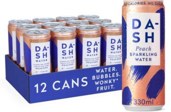 DASH Water Peach – 12 x Peach Flavoured Sparkling Spring Water – NO Sugar, NO Sweetener, NO Calories – £6.37 max s&s