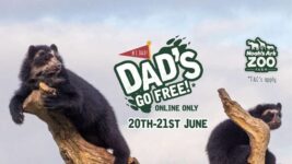 Dads go free this fathers day weekend – Noahs Ark Zoo Farm
