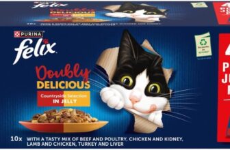 FELIX Doubly Delicious Countryside Selection in Jelly Wet Cat Food 40x85g