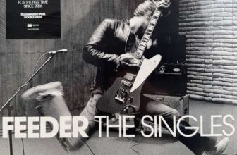Feeder – The Singles (2x Transparent Pink Vinyl) – 2026 reissue – with code – sold by musicMagpie Shop