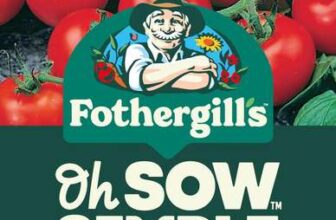 Fothergills Oh Sow Simple, Tomato Red Cherry Vegetable Seeds, Sow: JanApr