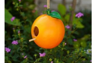 Fruit Bird House – Orange