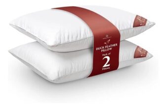 GAVENO CAVAILIA 2 Pack Feather Luxury Pillow Set