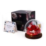 Gugxiom LED Glass Rose Eternal Light up Gift