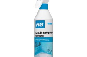 HG Mould Remover Foam Spray