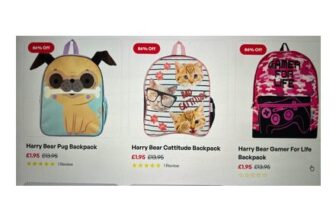 Harry Bear Backpacks – Cattitude Cats , Pug Gamer for Life