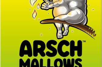 Hasbro Gaming Arschmallows Party Card Game – English Version