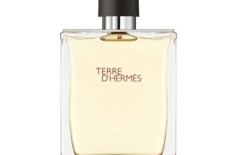 Hermes Terre DHermes Eau de Toilette 200ml Spray w/code