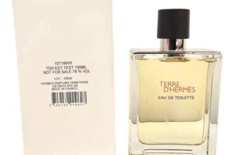 Hermes Terre dHermes Eau de Toilette Spray 100ml Tester