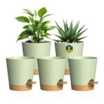 Homeuouz 12cm Plastic Self-Watering Pots, 5-Pack with Saucer