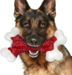 Indestructible Dog Chew Toys for Aggressive Chewers: Ultra Hard Beef Flavour Solid Nylon Dog Bones, Tough Dog Toys for Medium & Large Dogs 10-40 kg, Heavy Duty Dog Toys for Boredom, 20 cm
