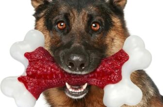 Indestructible Dog Chew Toys for Aggressive Chewers: Ultra Hard Beef Flavour Solid Nylon Dog Bones, Tough Dog Toys for Medium & Large Dogs 10-40 kg, Heavy Duty Dog Toys for Boredom, 20 cm