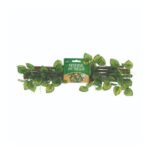 Ivy Trellis