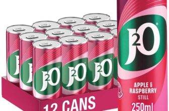 J2O Fruit Juice, Apple and Raspberry, 250ml Cans (Pack of 12)