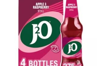 J2O J2O Apple & Raspberry Bottles 4 X 275ml
