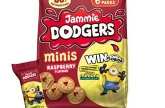 Jammie Dodgers 6 Indvidual Packs of Mini Biscuits (Nectar Price)
