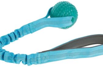 Kerbl Pet BungeeToy Ball, Blue, 50 cm, 6.5 cm