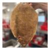 Lemon Sole 350g-450g