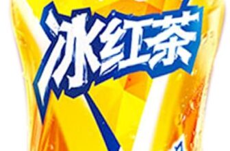 Master Kong Black Ice Tea 500mL