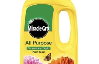 Miracle Gro All Purpose Plant Food 800ml – Clubcard Price
