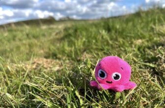 National Trust Family Day Pass (2 adults and up to 3 children) for Octoplus members