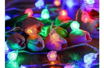 PORUPAEL Rose Flower String Lights, Battery Operated, 3m, 20 LEDs
