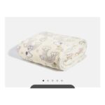 Peanuts X Skinnydip Snoopy and Woodstock Blanket