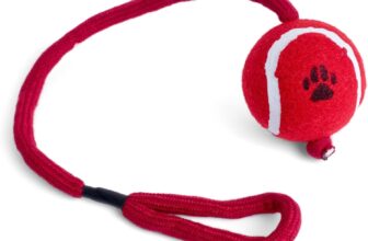 Petface Tennis Ball on A Rope Dog Tug Toy