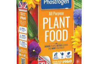 Phostrogen All Purpose Plant Food, 800g – Big Prime Deal