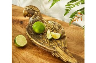 Pleasant Parrot Dish