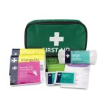 RELIANCE MEDICAL HSE 1 Person First Aid Kit in Small Green Pouch